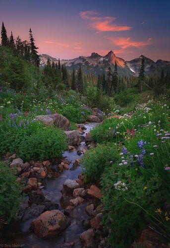 Evening Walk in Paradise or What a Wonderful World...