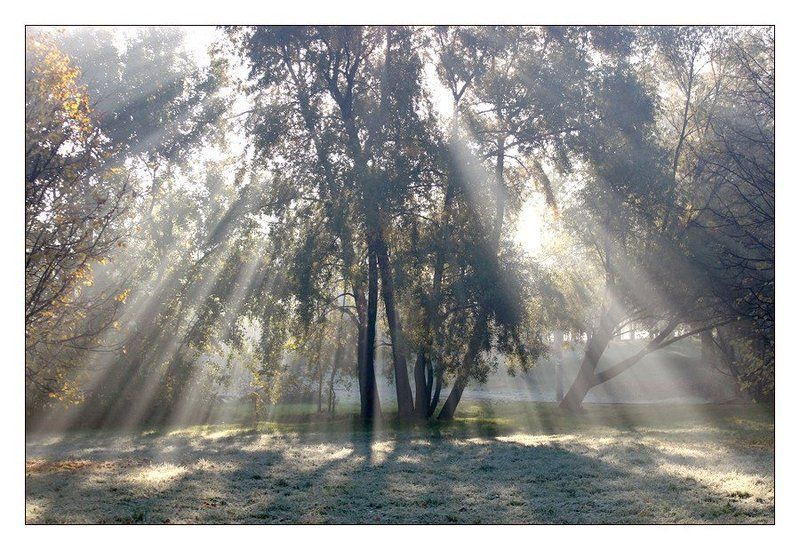 Лучиphoto preview