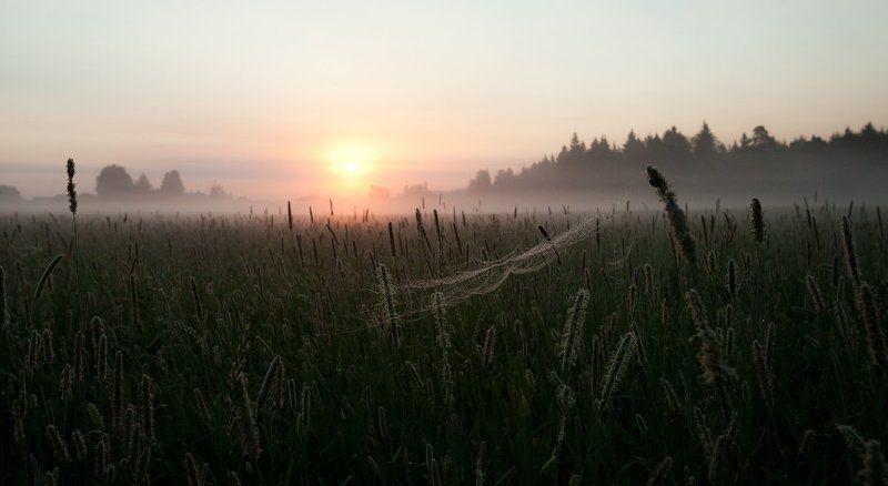 тепло Летнее утроphoto preview