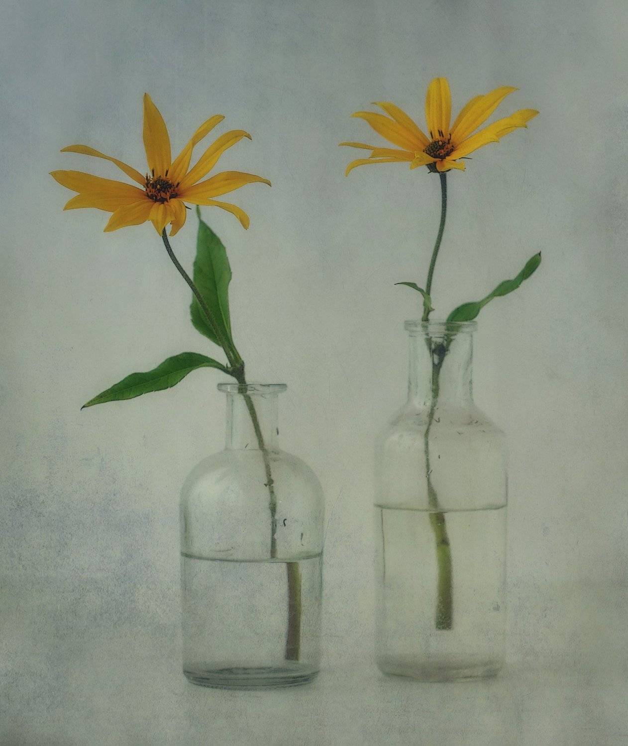 натюрморт,цветы,топинамбур, Наталия К