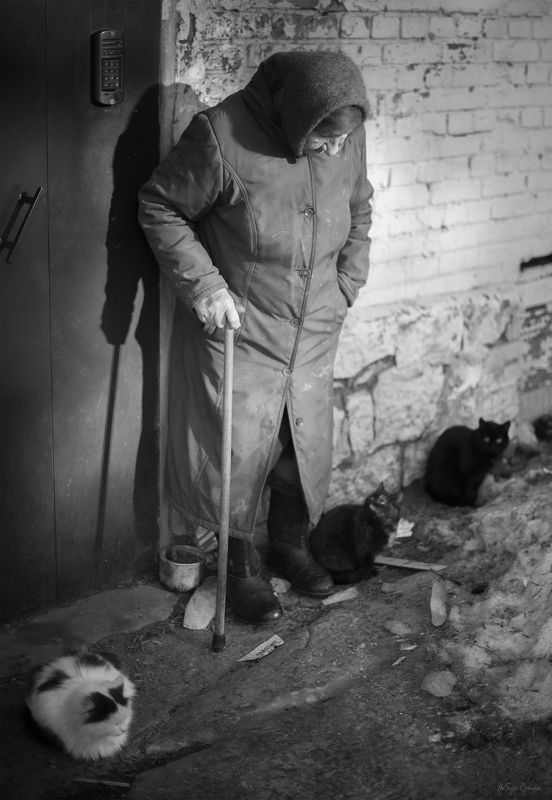 женщина,жанр,улица,дом, подъезд, коты ***photo preview