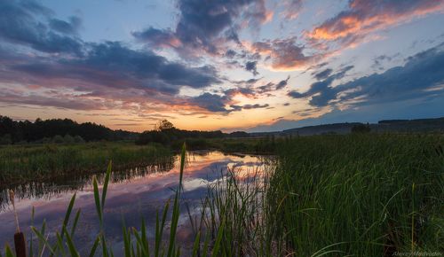 Один летний вечер