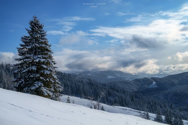 #landscape, #nature, #scenery, #forest, #wood, #autumn, #mist, #misty, #fog, #foggy, #river, #waterfall, #longexposure, #mountain, #vitosha, #bulgari, #aтуман, #лес, #oсень ***photo preview