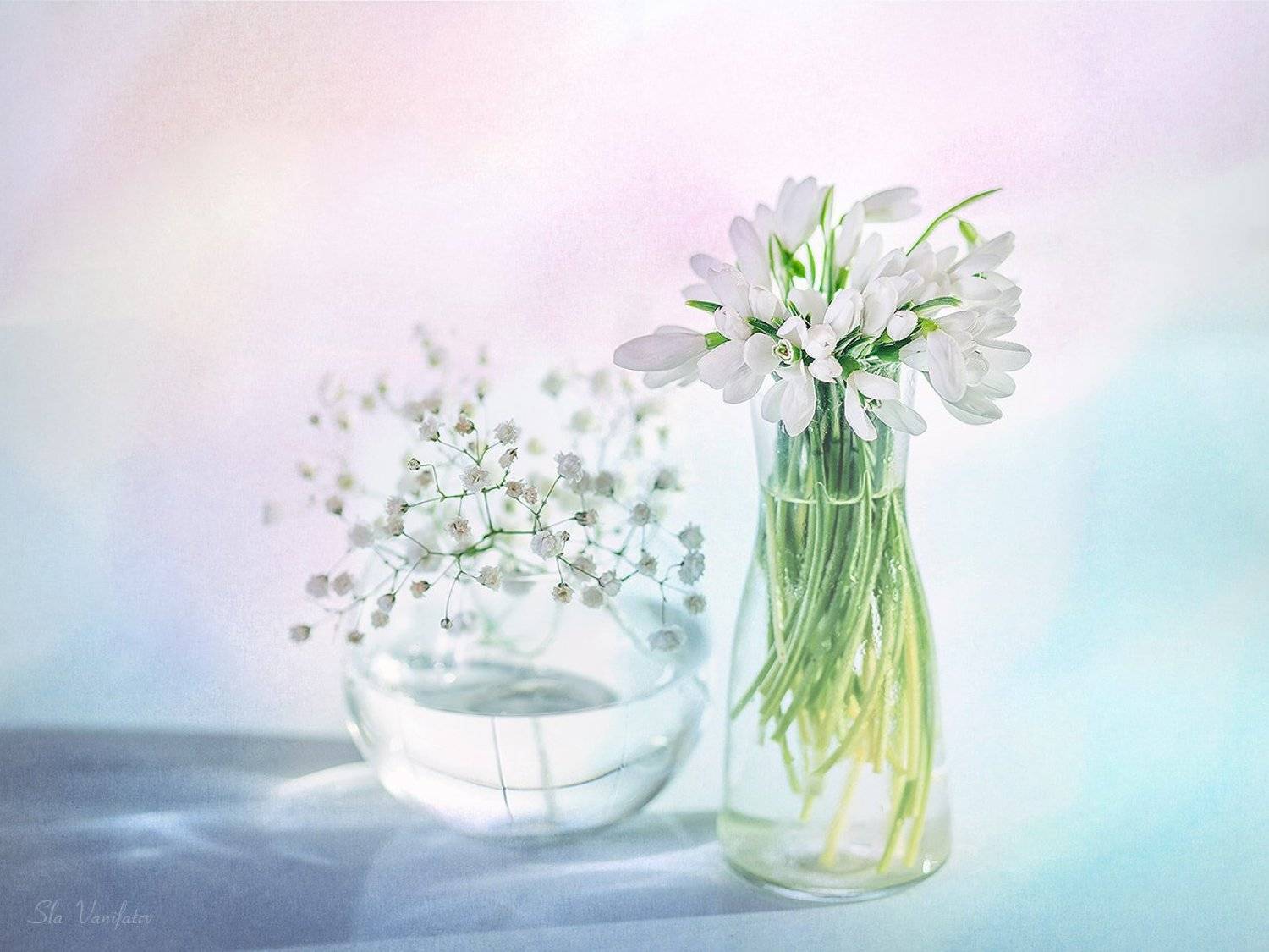 , Вячеслав Ванифатьев