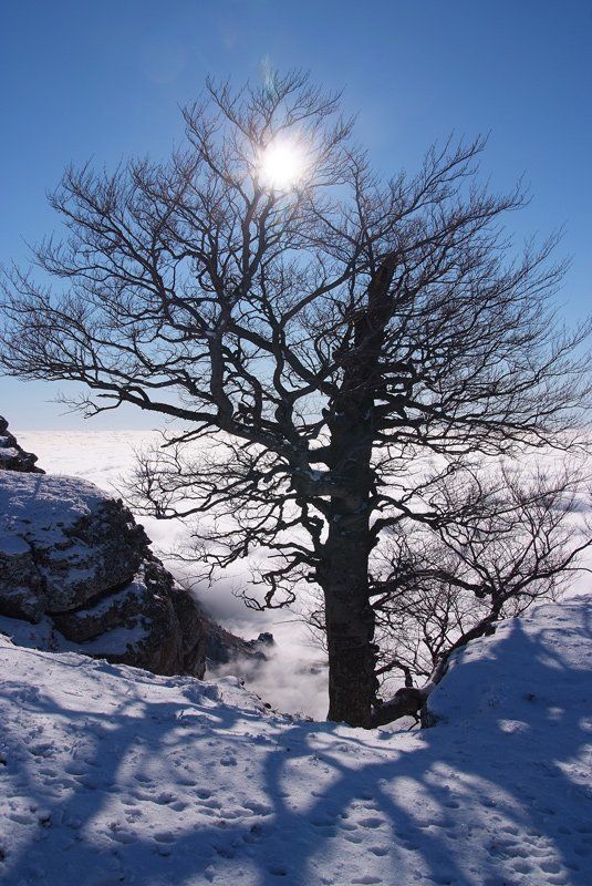 крым ***photo preview