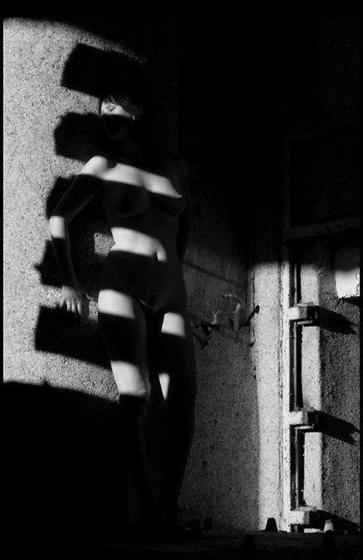 светотень Светотеньphoto preview