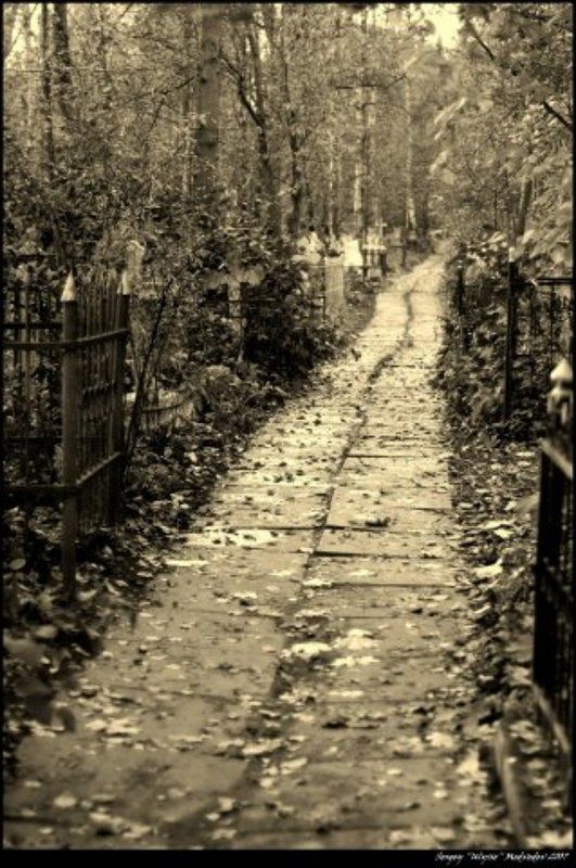 ulysse, кладбище, пейзаж, смерть photo preview