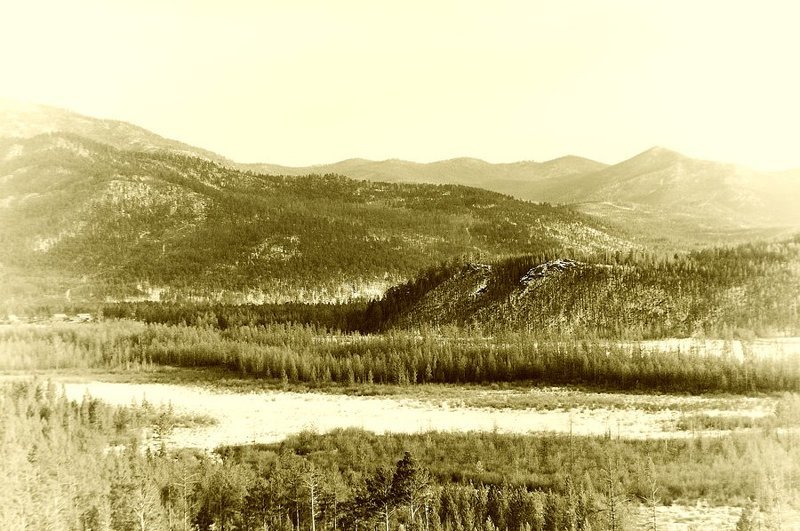 бурятия,тайга,майла Тайгаphoto preview