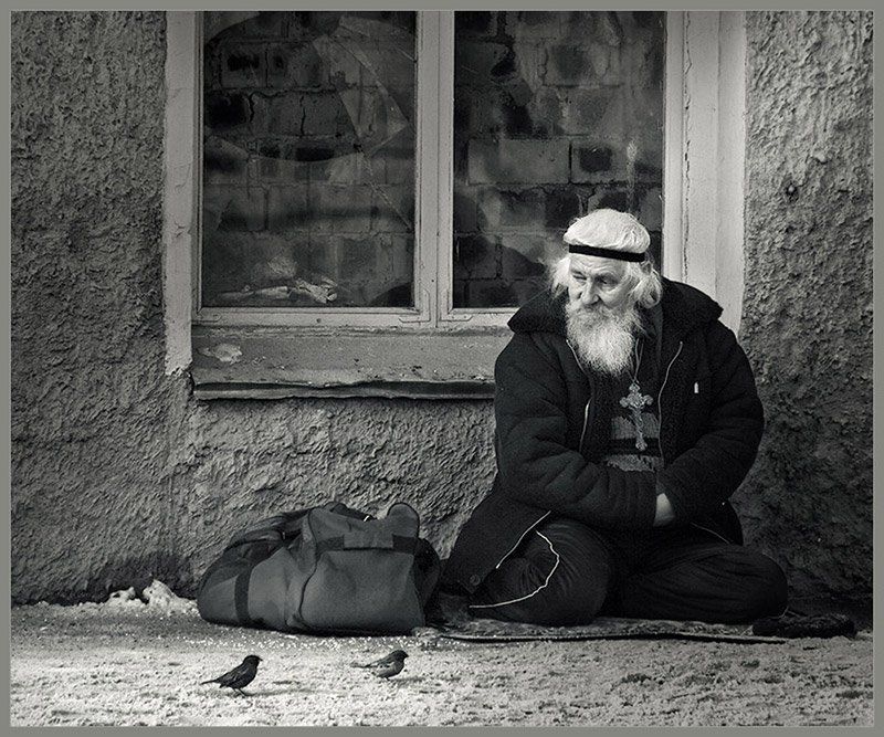 коллеги-попрошайкиphoto preview