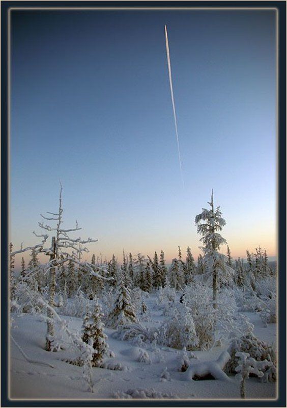 тайга,зима,самолёт Высотникphoto preview