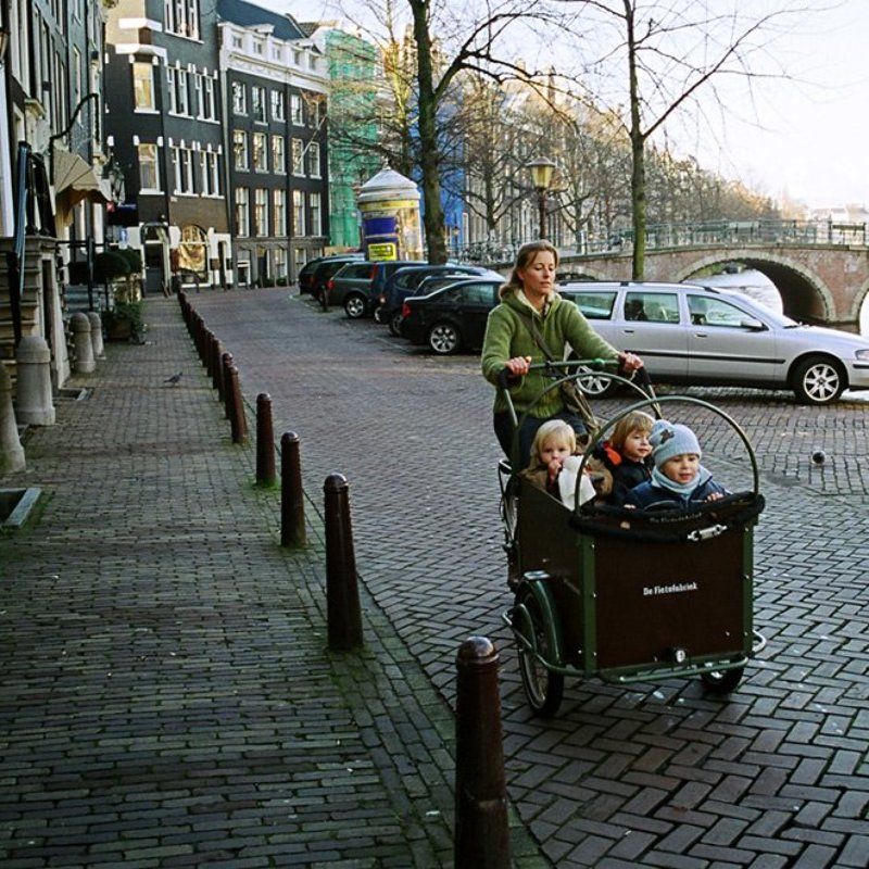 очерование, амстердам, метаморфозы Очарование Амстердамаphoto preview