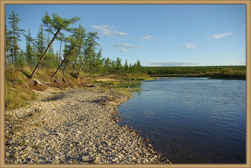 река,тайга,лето Тёплый деньphoto preview