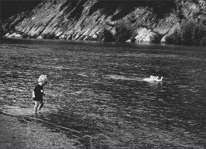 дети вечная тема Гуси-лебеди...photo preview