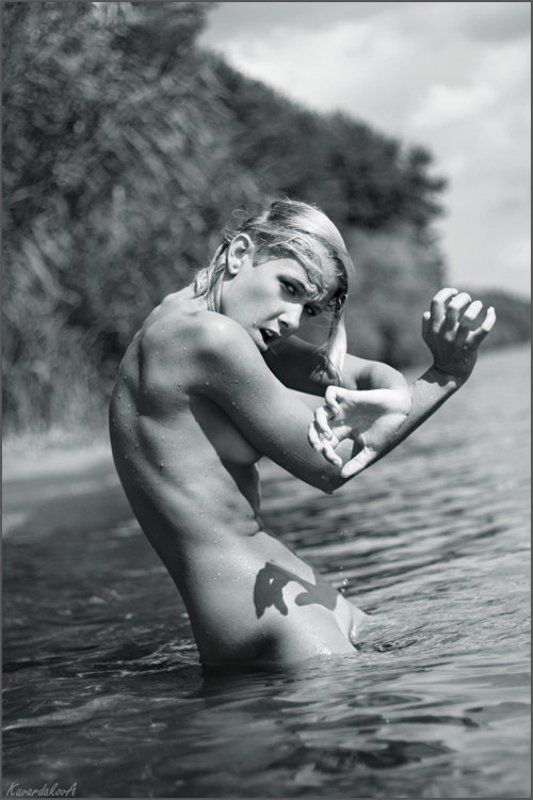 Baha Wernerphoto preview