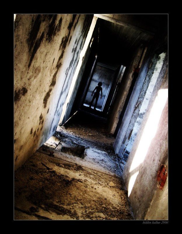 Go Off Wanderingphoto preview