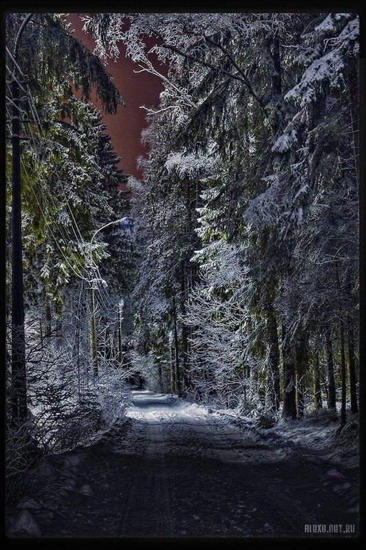 Сказочный Лесphoto preview