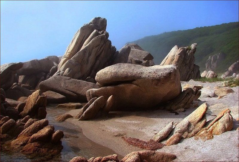 Окаменевшиеphoto preview