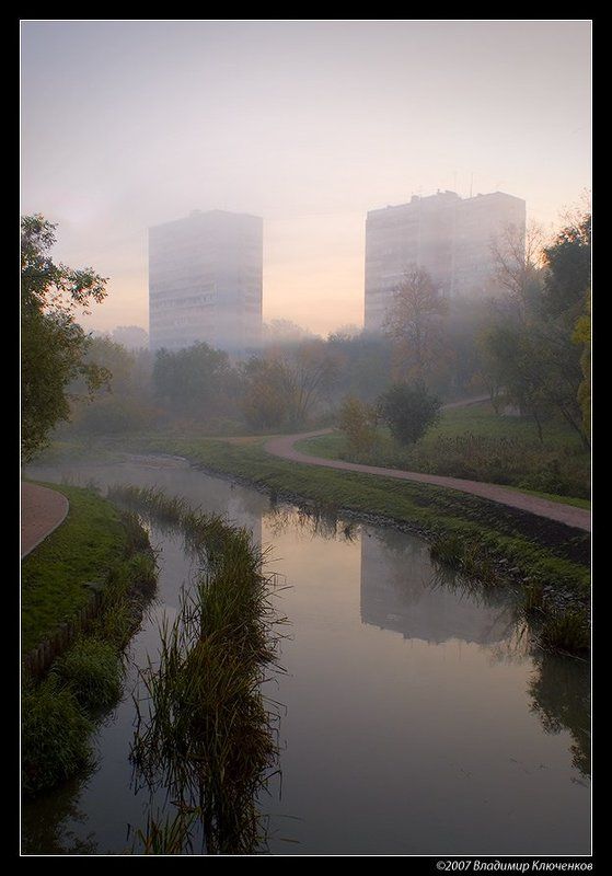 Городские джунглиphoto preview