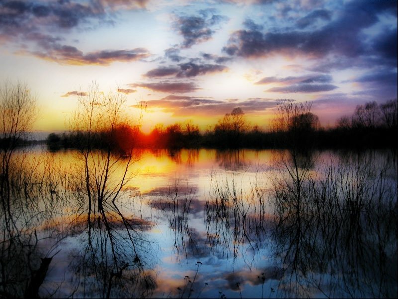 в ожидании весныphoto preview