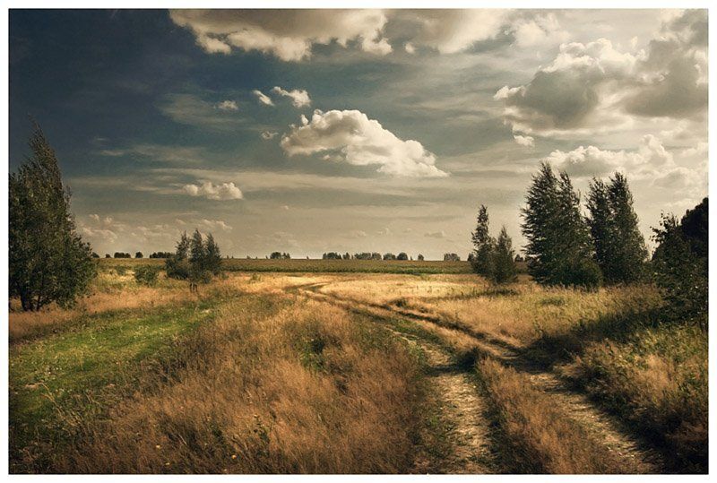 лето,россия,солнце,небо,свобода Русское летоphoto preview