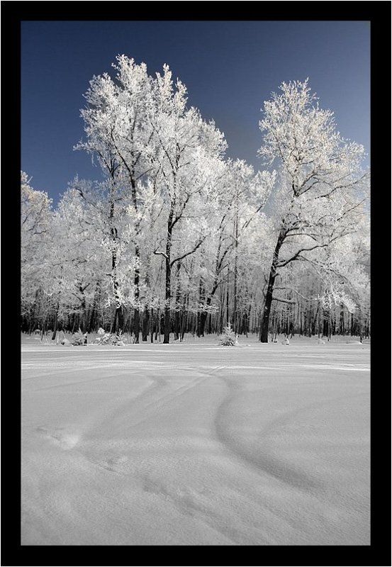 природаphoto preview