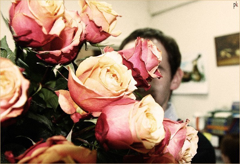 roses, розы, романтика, цвета Rosesphoto preview