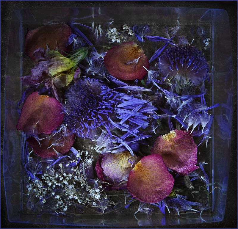 Высохшие чувстваphoto preview