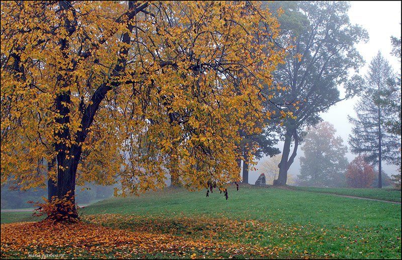 пейзаж Туманнаяphoto preview