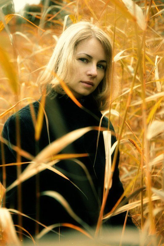 золото осени моейphoto preview