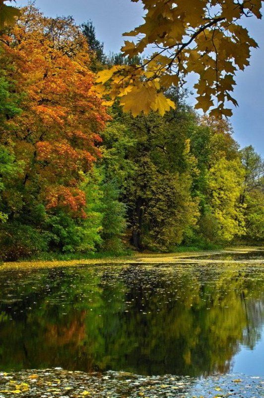 осень, full, краски, андреевские пруды Все краски осениphoto preview