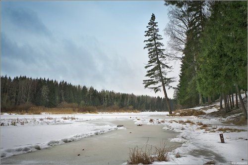 оредеж #5