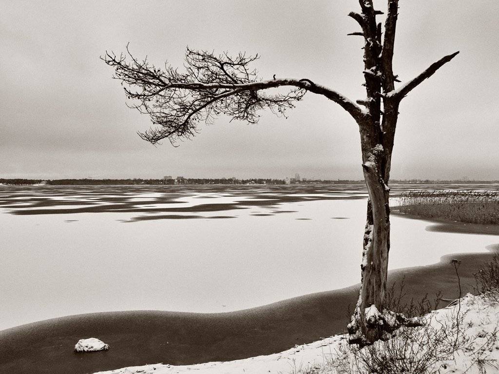 Изгой. Автор: Штабнов Юрий , Штабнов Юрий