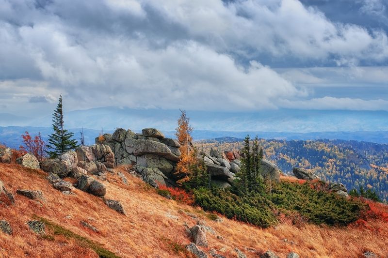 алтай, колывань, синюха Ивагуми в горахphoto preview