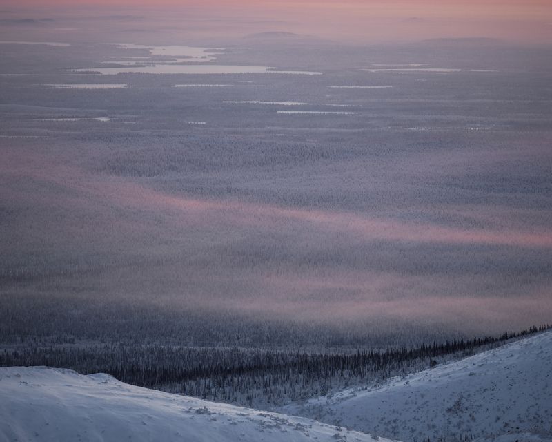 кировск, восход, полярная ночь, хибины, заполярье, зима, ночь, olympus, reflectitur photons, лесотундра, облока, даль Розовая даль лесотундры.photo preview