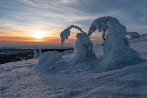 Ice sculptures
