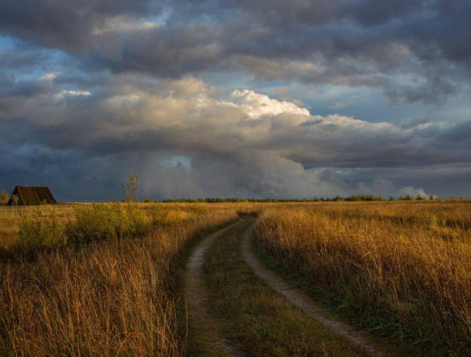 поле вечер гроза, Дмитрий Алексеев