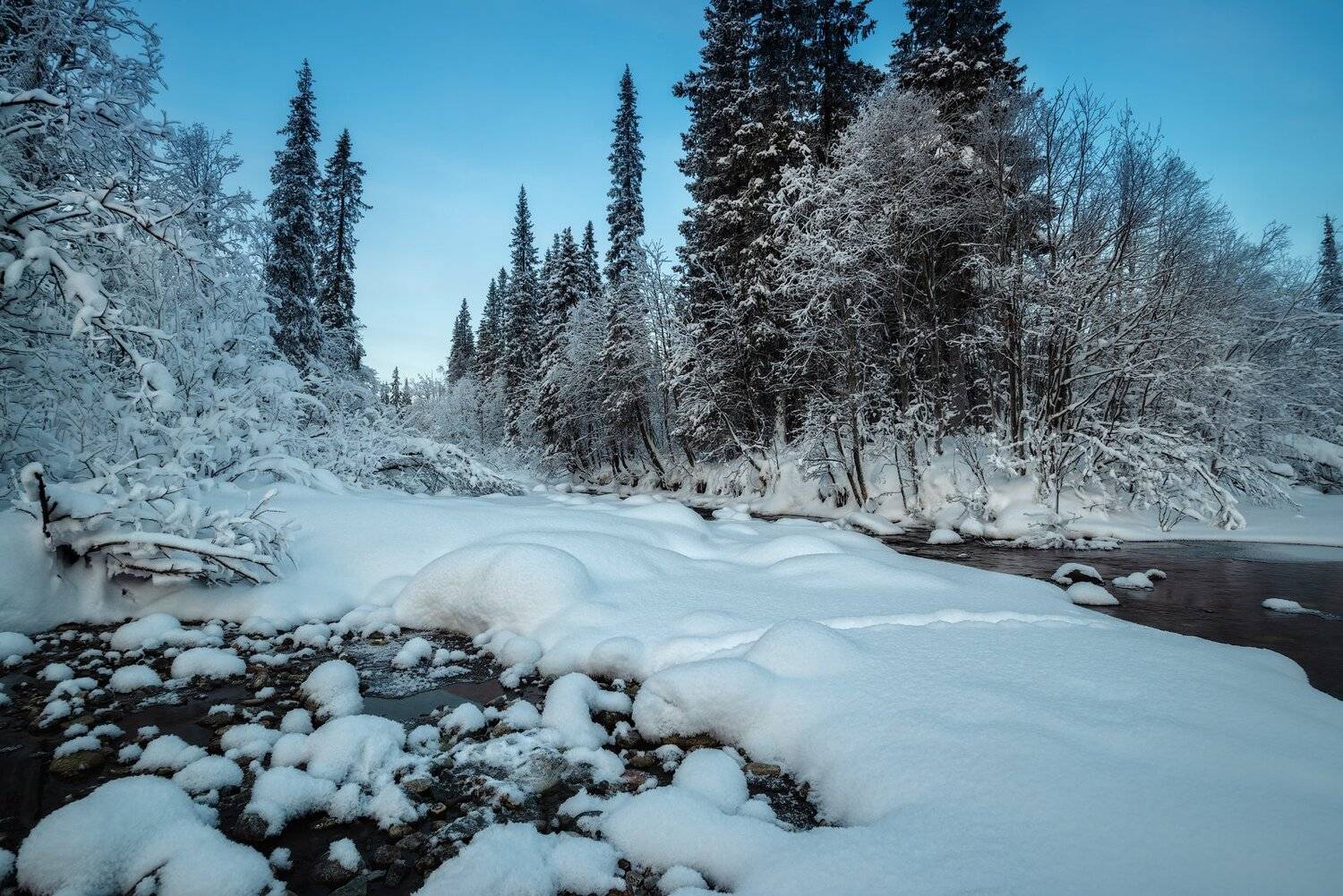 умболка, север, кольский, январь, хибины, мороз, изморозь,, Роман Горячий