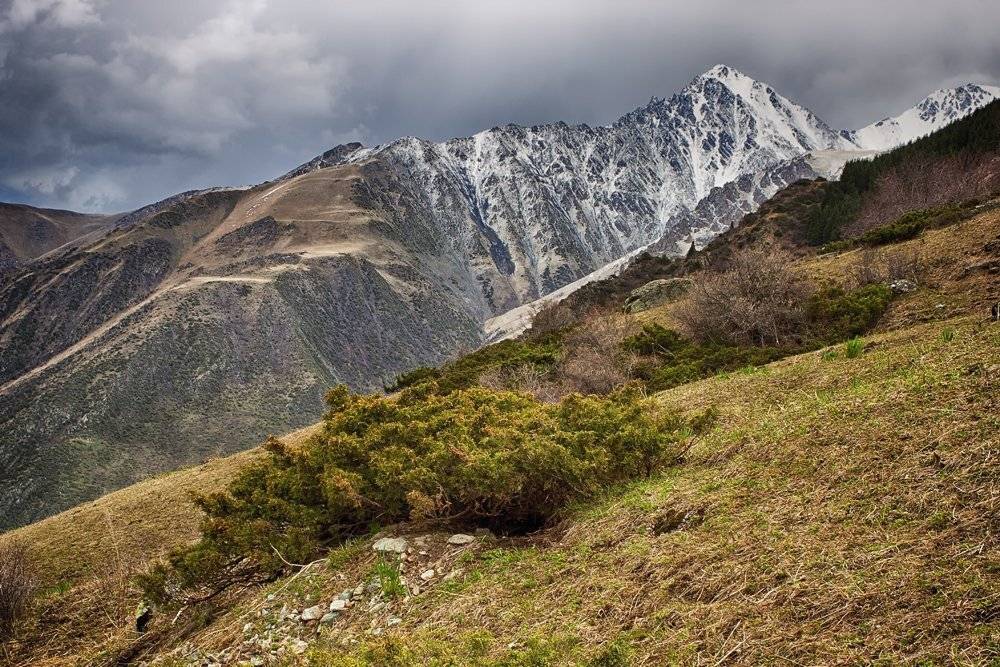кыргызстан, горы, Элина Магалимова