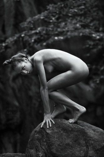 Охота (перед прыжком)