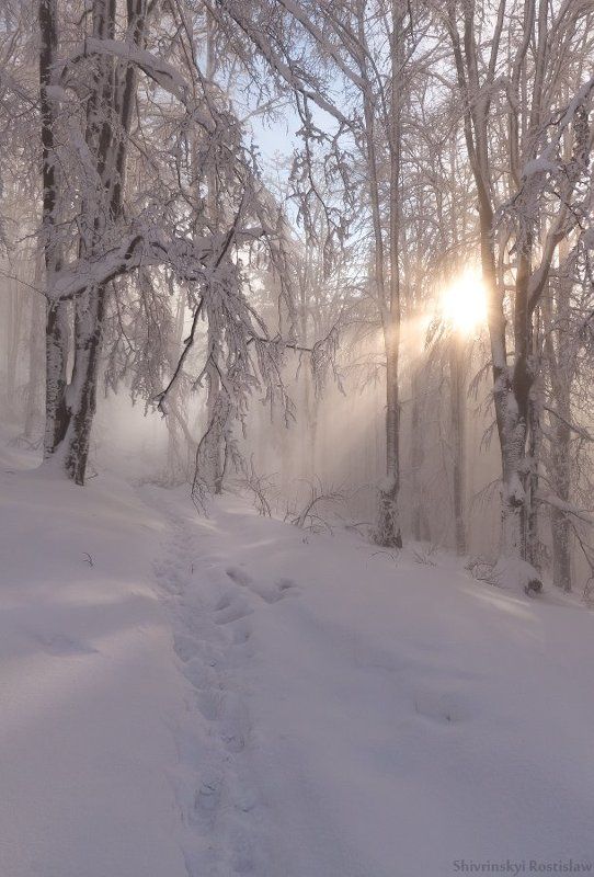 ростислав,  10-22мм, карпаты Долгожданная зимаphoto preview