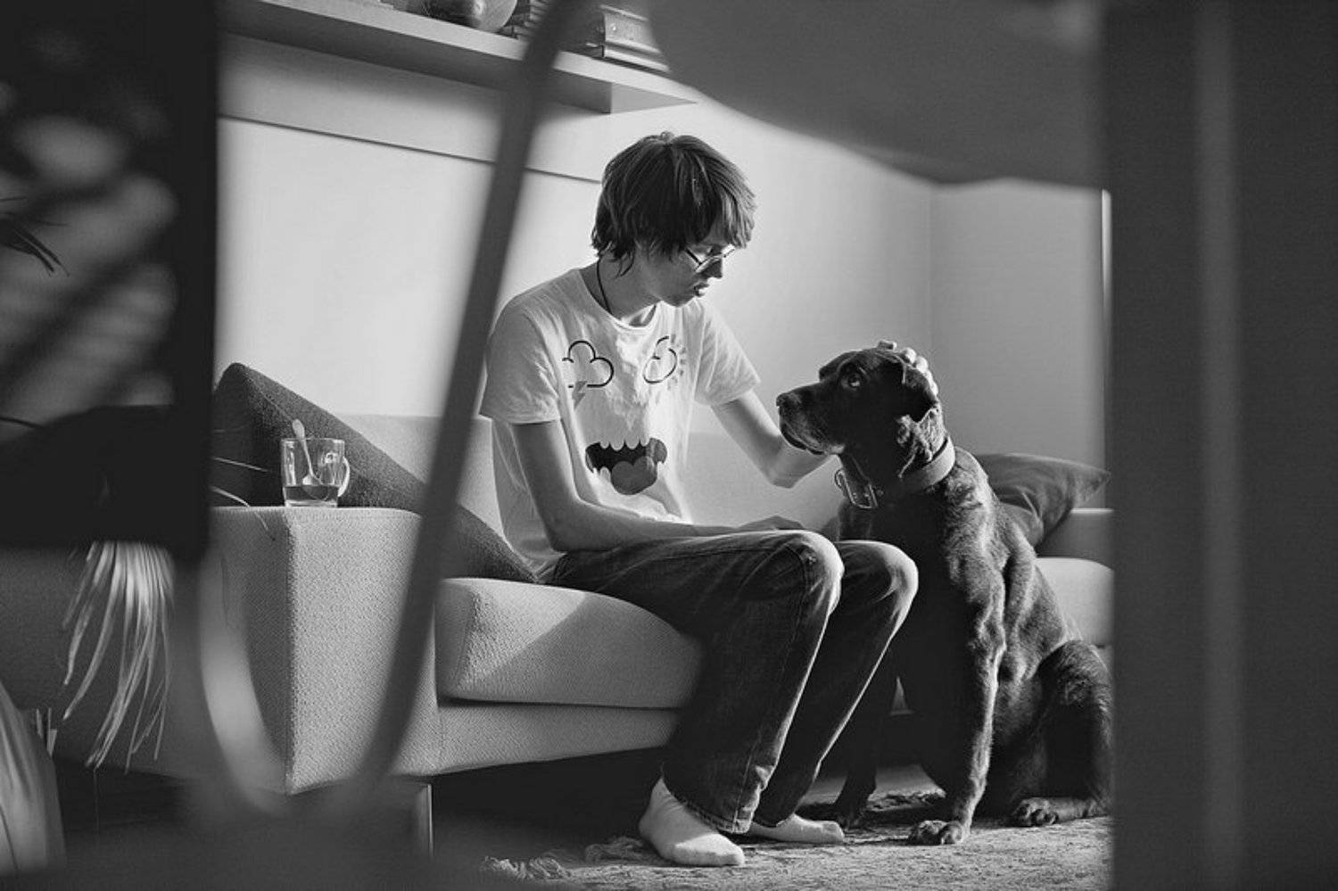 Best friends. Автор: Шаленкин Роман , Шаленкин Роман