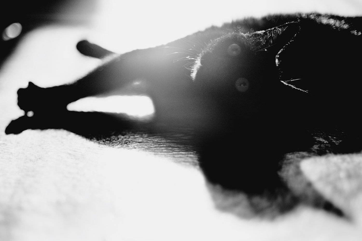 Ну не злись. Автор: Пастухова Татьяна , Пастухова Татьяна