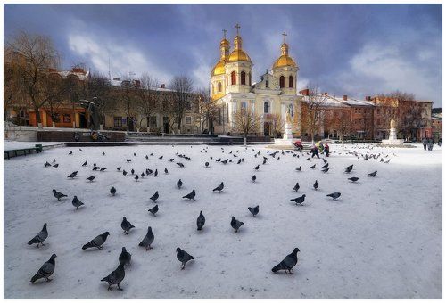 На Василя... (2)