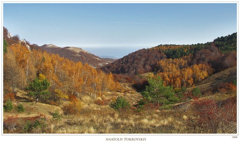 Берёзово-буковое разнообразие переживания осениphoto preview