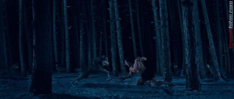 rati, tsiteladze, vs, wolves, versusfotos, wolf, male, model Rati Tsiteladze Vs wolvesphoto preview