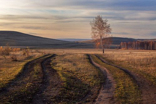 Вечерняя палитра.