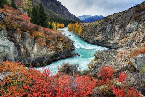 Осень на Чуе