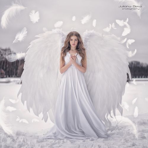 winter angel