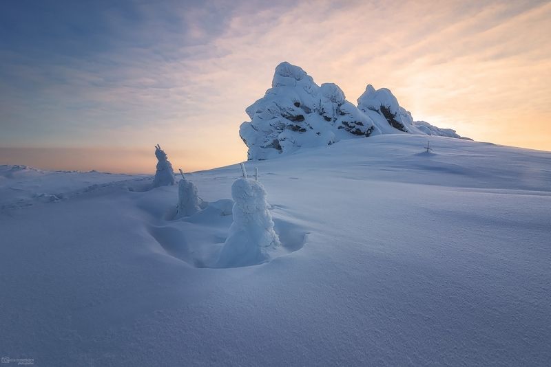 Снежные зайчики на полянкеphoto preview