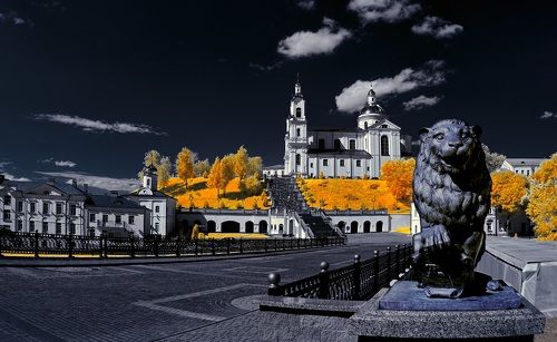 Немного о львах. Инфракрасная фотография.